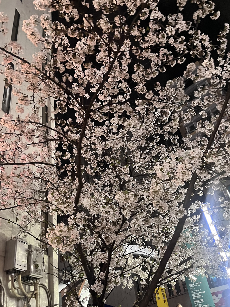 櫻井える