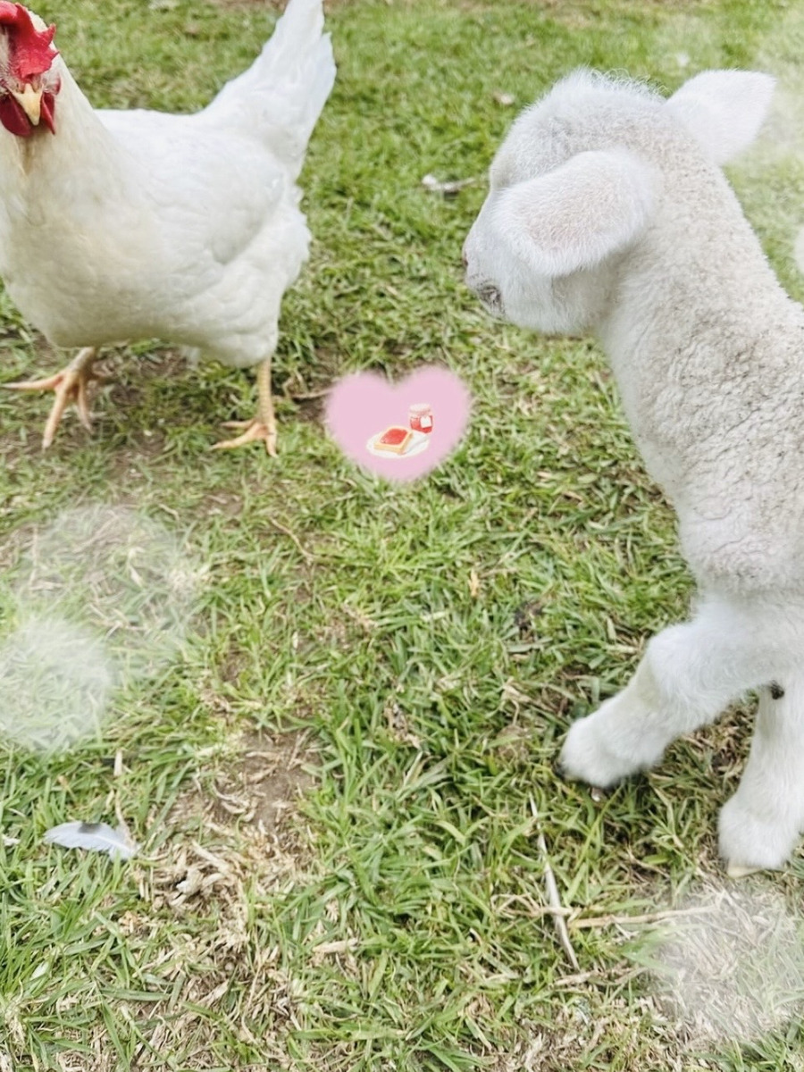 葛城まり